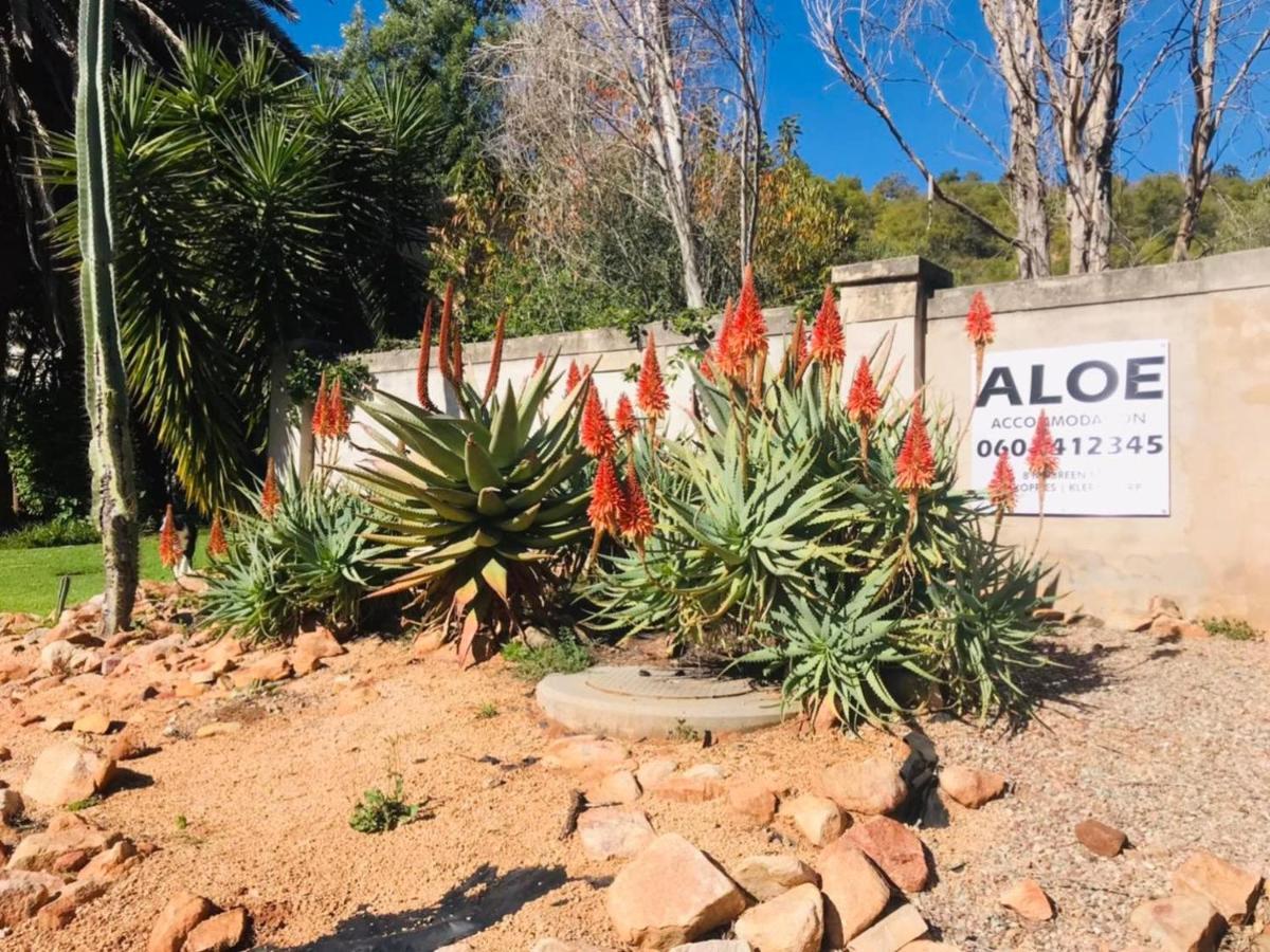 Aloe Guesthouse クラークスドープ エクステリア 写真