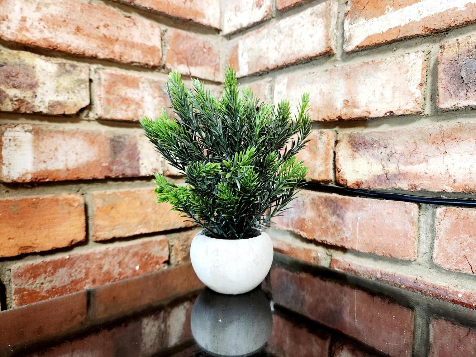 Aloe Guesthouse クラークスドープ 部屋 写真