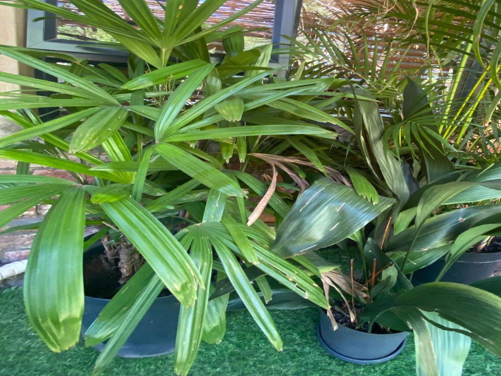 Aloe Guesthouse クラークスドープ 部屋 写真