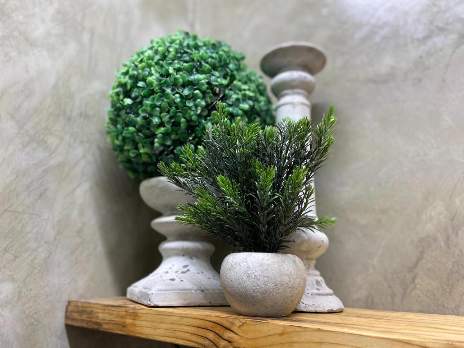 Aloe Guesthouse クラークスドープ 部屋 写真