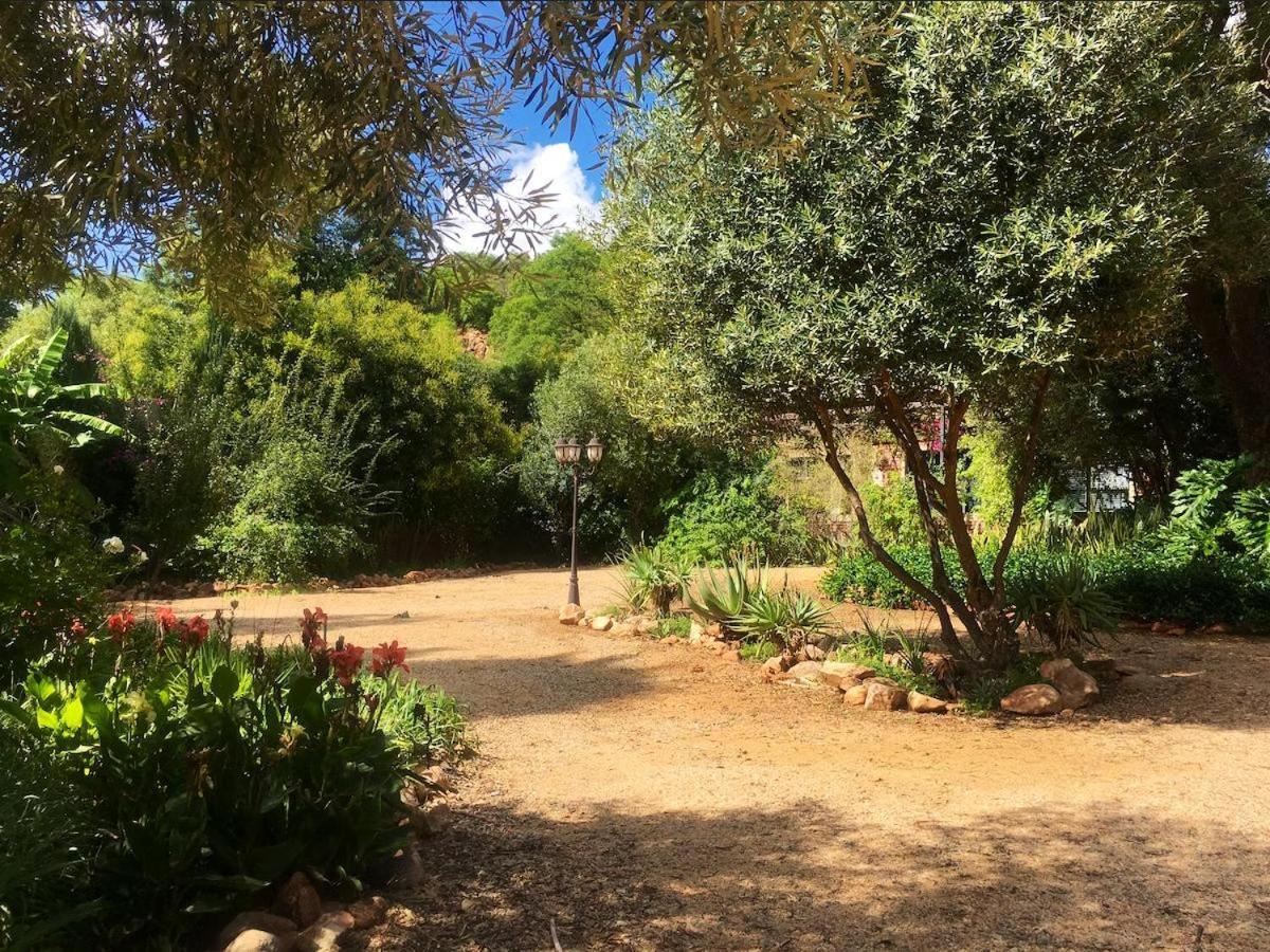 Aloe Guesthouse クラークスドープ エクステリア 写真